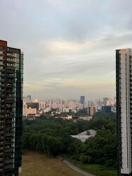 Normanton Park (D5), Apartment #564133051